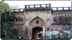 Badshah Bagh